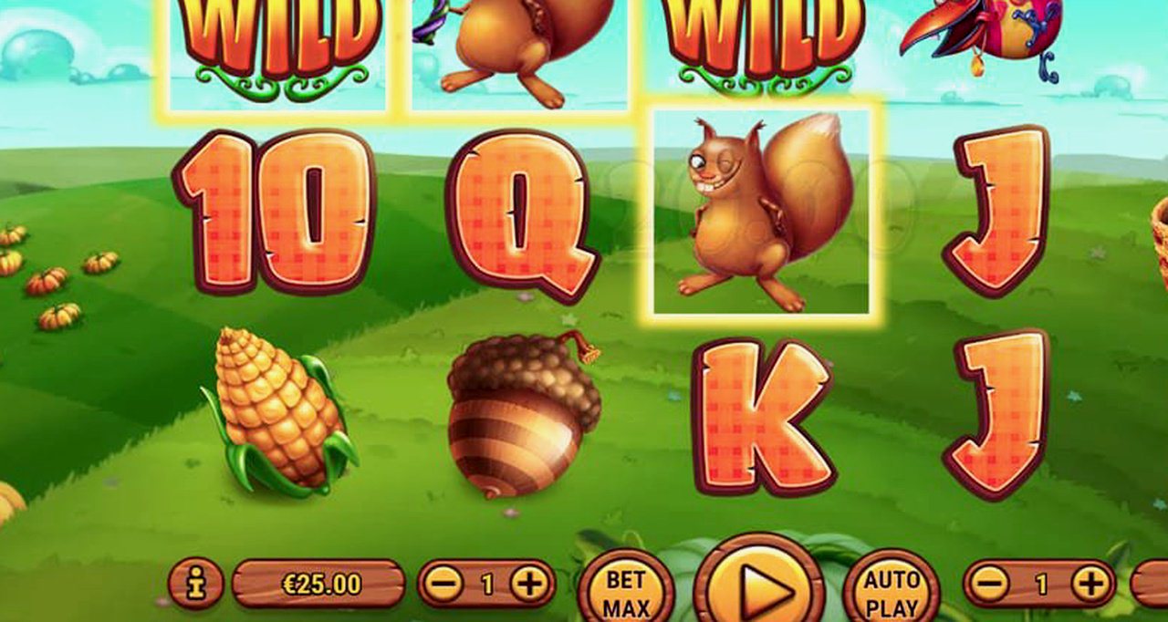 Pumpkin Patch · Tampilan Aplikasi CEMARA777