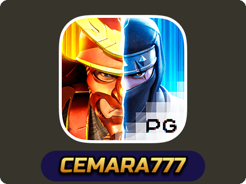 Ninja vs Samurai